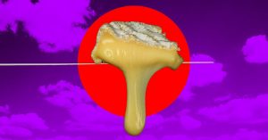 Climate Change Is Ruining Cheese, Scientists and Farmers Warn