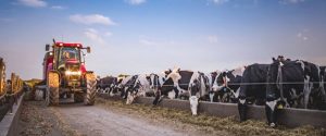 Dairy Situation & Outlook report