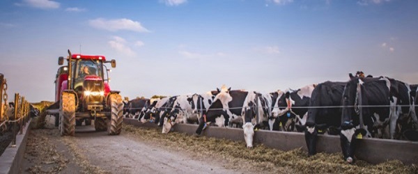 Dairy Situation & Outlook report