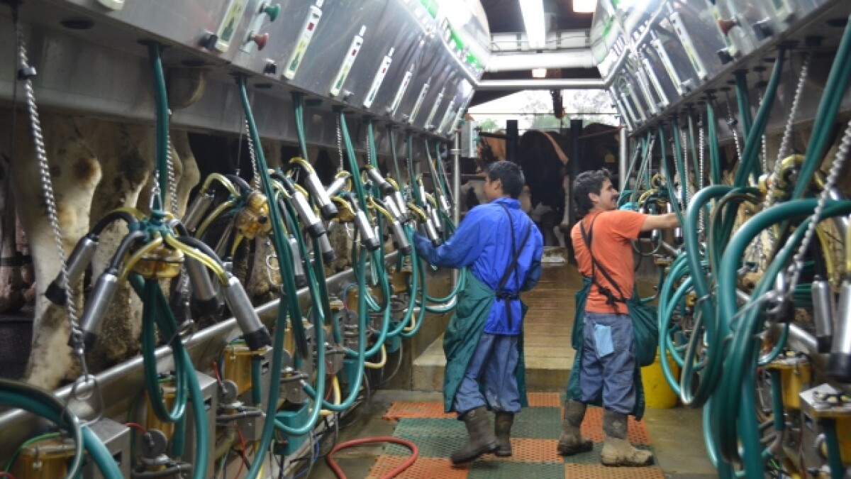 Dairy price futures