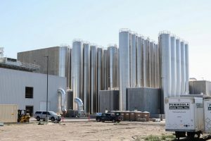 Darigold opens major dairy plant in Pasco, creating jobs