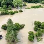 Farmers And Businesses Need Urgent Flood Support