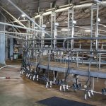 Fonterra and Saputo lift milk prices