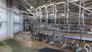 Fonterra and Saputo lift milk prices