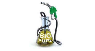 Fueling the Future Farm Leaders Back EPA's Bold Biofuel Push