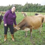 Future-focused animal evaluation to drive genetic gains in NZ dairy sector