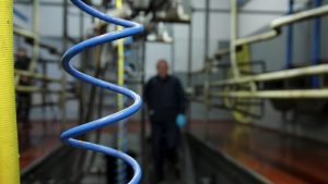 Global Dairy Trade index records 2nd decrease in succession