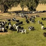 Goulburn Valley Creamery Doubles Down