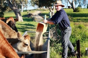 Inside the great decline of Australia’s dairy industry