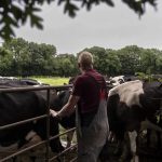Irish Farmers Push Back on EU-Australia Beef Deal