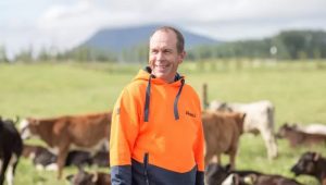 Kiwi Dairy Giant Pāmu Set for Record Profit What's Driving the Boom