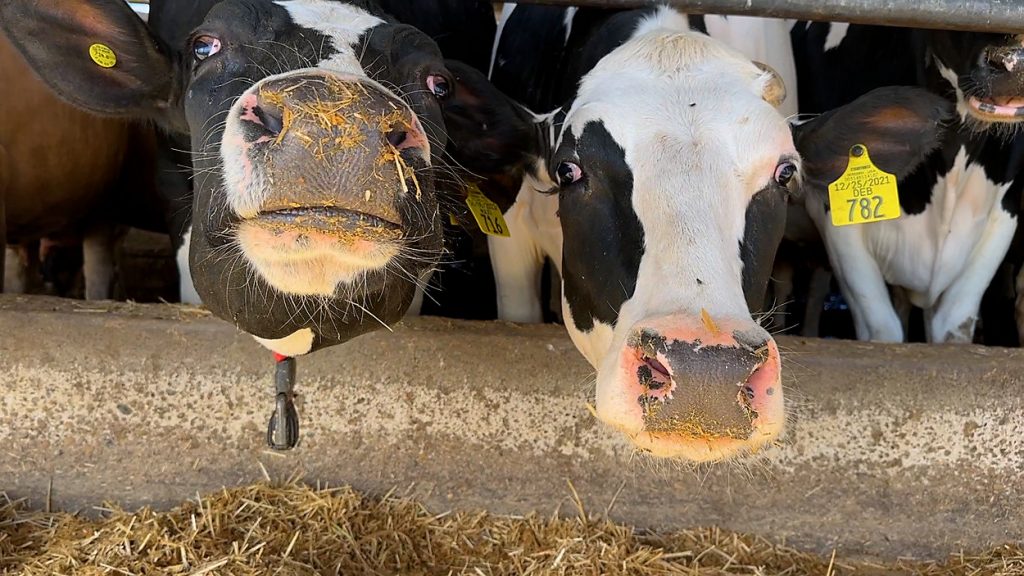 Lawmakers, farmers raise concerns about aging farm work force