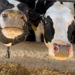 Lawmakers, farmers raise concerns about aging farm work force