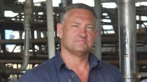 Low prices, recovery costs will send dairy farmers to the wall