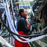 Milk Gold Boost Production & Quality This Season