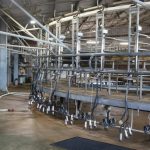 Milk Price Bonanza Fonterra & Saputo Boost Payouts for 2025-26