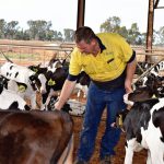 Milk price fails family farms