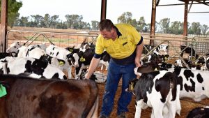Milk price fails family farms