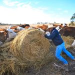 Parts of Australia are suffering another devastating drought, but you wouldn’t know it in the cities