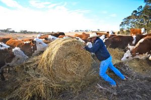 Parts of Australia are suffering another devastating drought, but you wouldn’t know it in the cities