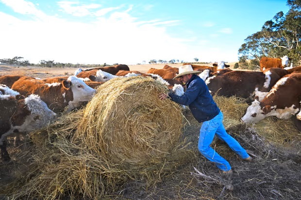 Parts of Australia are suffering another devastating drought, but you wouldn’t know it in the cities