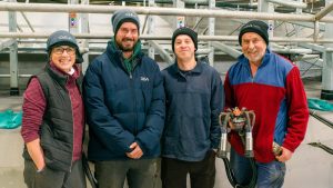 Revolutionizing Milking How This Aussie Farm Tripled Efficiency