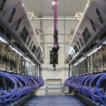 Robots Reshape Dairy Dealers Eye a Tech-Driven Future