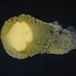 U.S. Farmers Now Earn Over Half of Butter’s Price