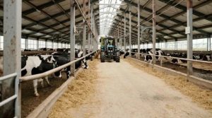 US Dairy's Workforce Crisis Farmers Demand Urgent Immigration Reform