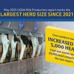 US Milk Production Surges Which States Led the Way