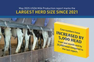 US Milk Production Surges Which States Led the Way