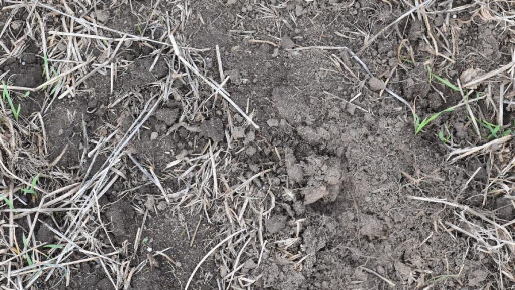 Uniting for Drought Victoria's Dairy Leaders Rally Behind Farmers