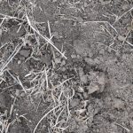 Uniting for Drought Victoria's Dairy Leaders Rally Behind Farmers