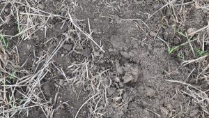 Uniting for Drought Victoria's Dairy Leaders Rally Behind Farmers