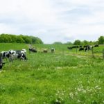 Washington County Milks the Bulk of Dairy Modernization Funds in the Capital Region