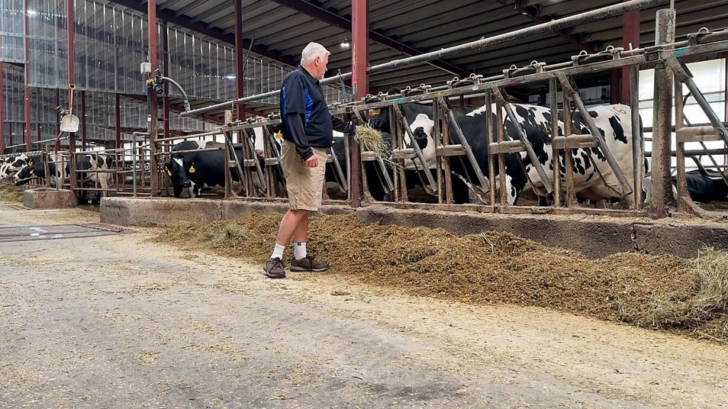 Wisconsin celebrates Dairy Month as state trade exports reached $8.2 billion last year