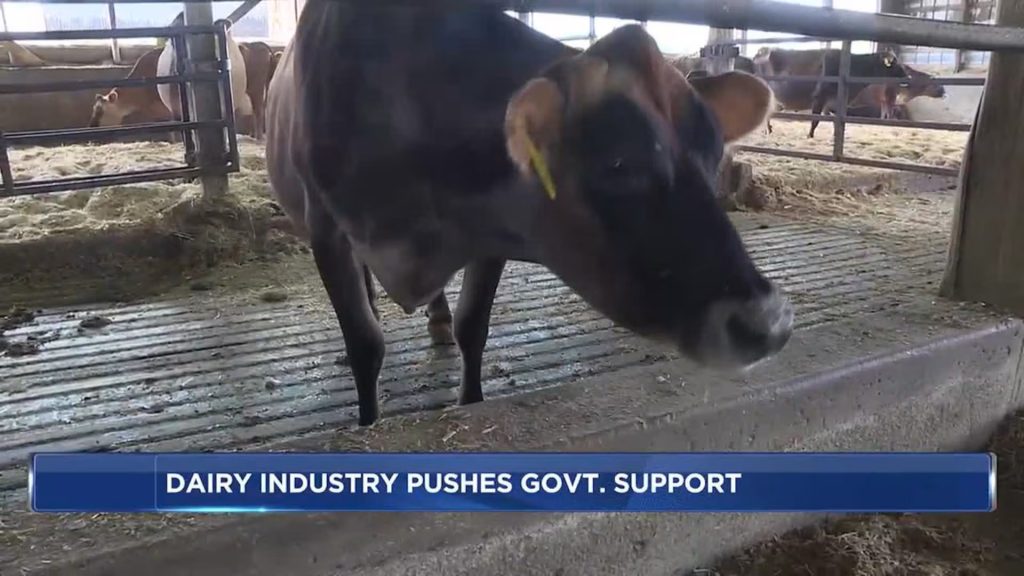 Wisconsin farmers, processors push for state and federal support to continue growing dairy industry