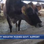 Wisconsin farmers, processors push for state and federal support to continue growing dairy industry