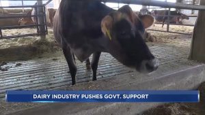 Wisconsin farmers, processors push for state and federal support to continue growing dairy industry