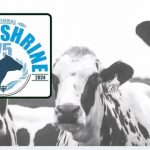 Wisconsin's Secret Shrine Unlocking the Dairy Industry's Storied Past and Future
