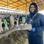 AI Revolutionizes Dairy Smarter Cows, Healthier Farms