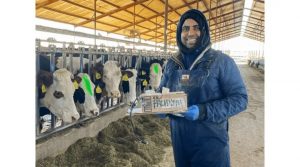 AI Revolutionizes Dairy Smarter Cows, Healthier Farms