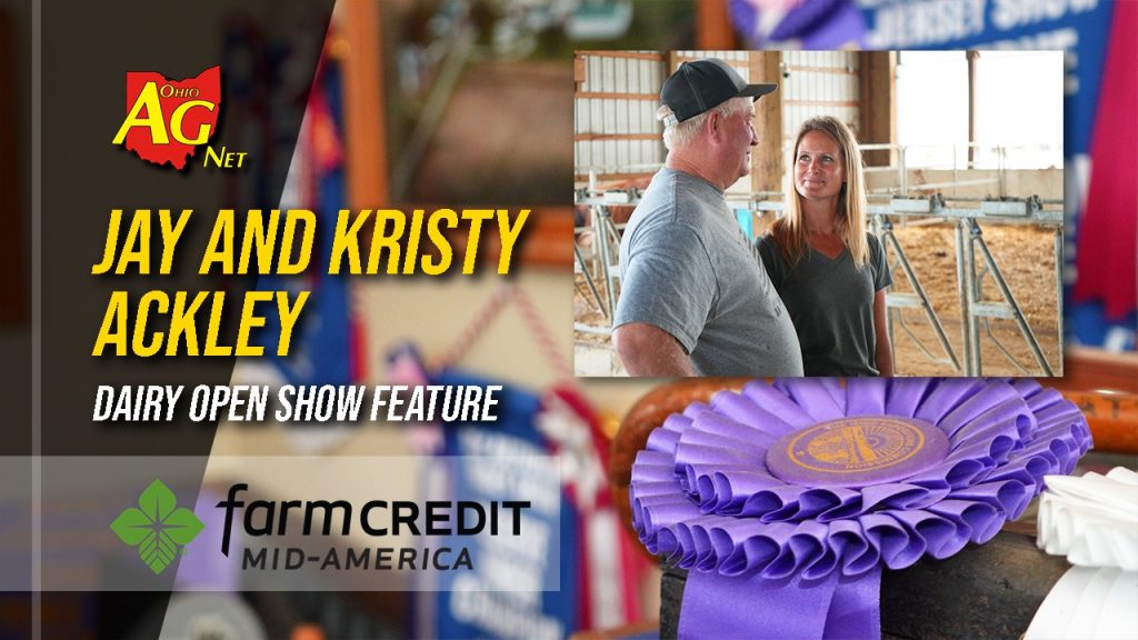 Ack-Lee Holsteins Ohio Fair Stars & Global Dairy Elite