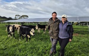 Auckland Farm's Profit Revolution Solar-Powered Agrivoltaics