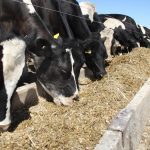 Aussie Farmers Fuming Drought Aid Falls Short