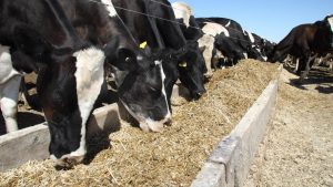 Aussie Farmers Fuming Drought Aid Falls Short