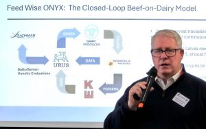 Beef from Dairy The Multi-Billion Dollar Opportunity