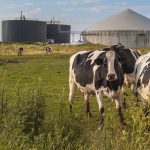 Dairy Biogas Boom US Farms Triple Methane Capture