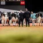 Dairy Elite Converge World Dairy Expo Entries Open