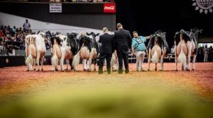 Dairy Elite Converge World Dairy Expo Entries Open